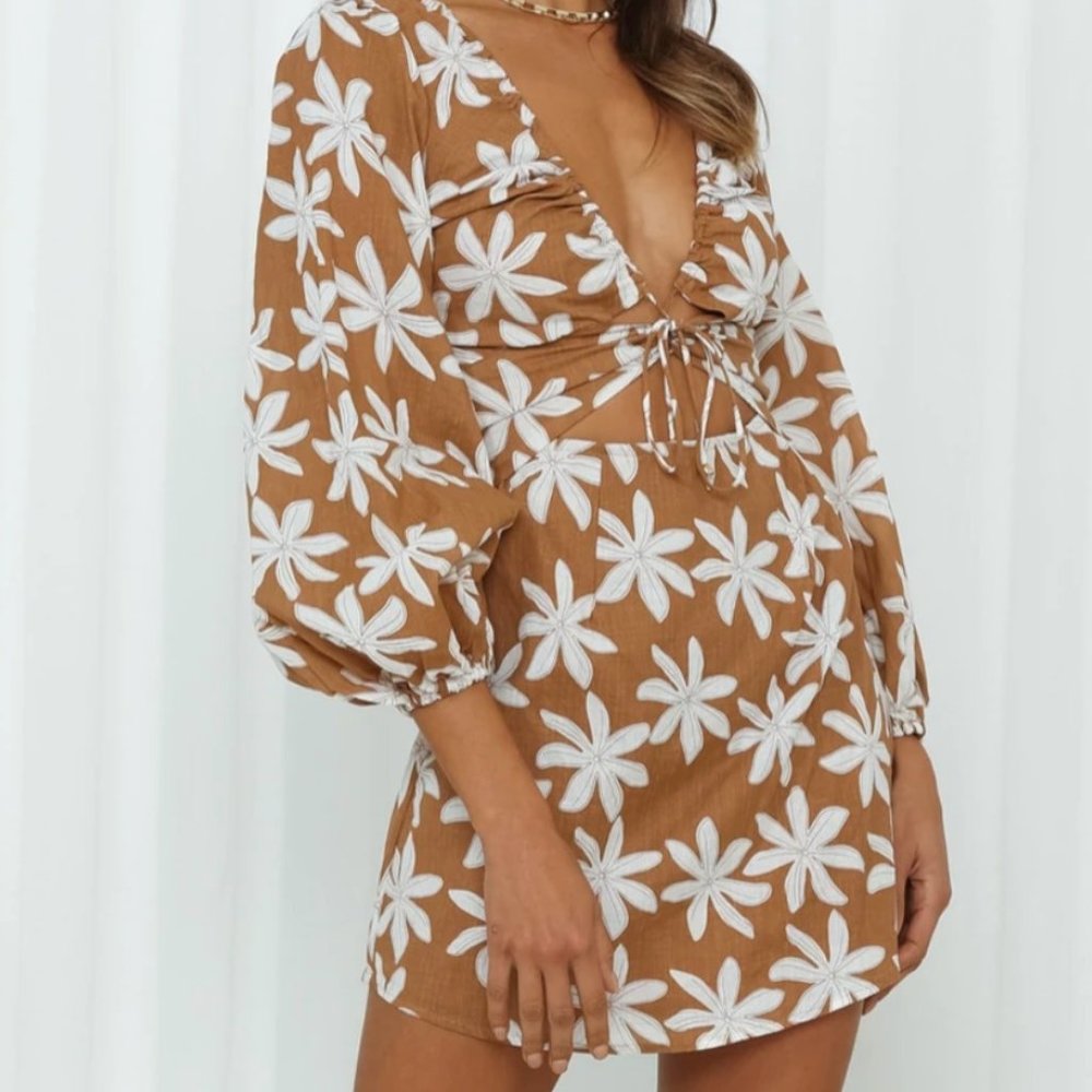 Hello Molly Tan Dress